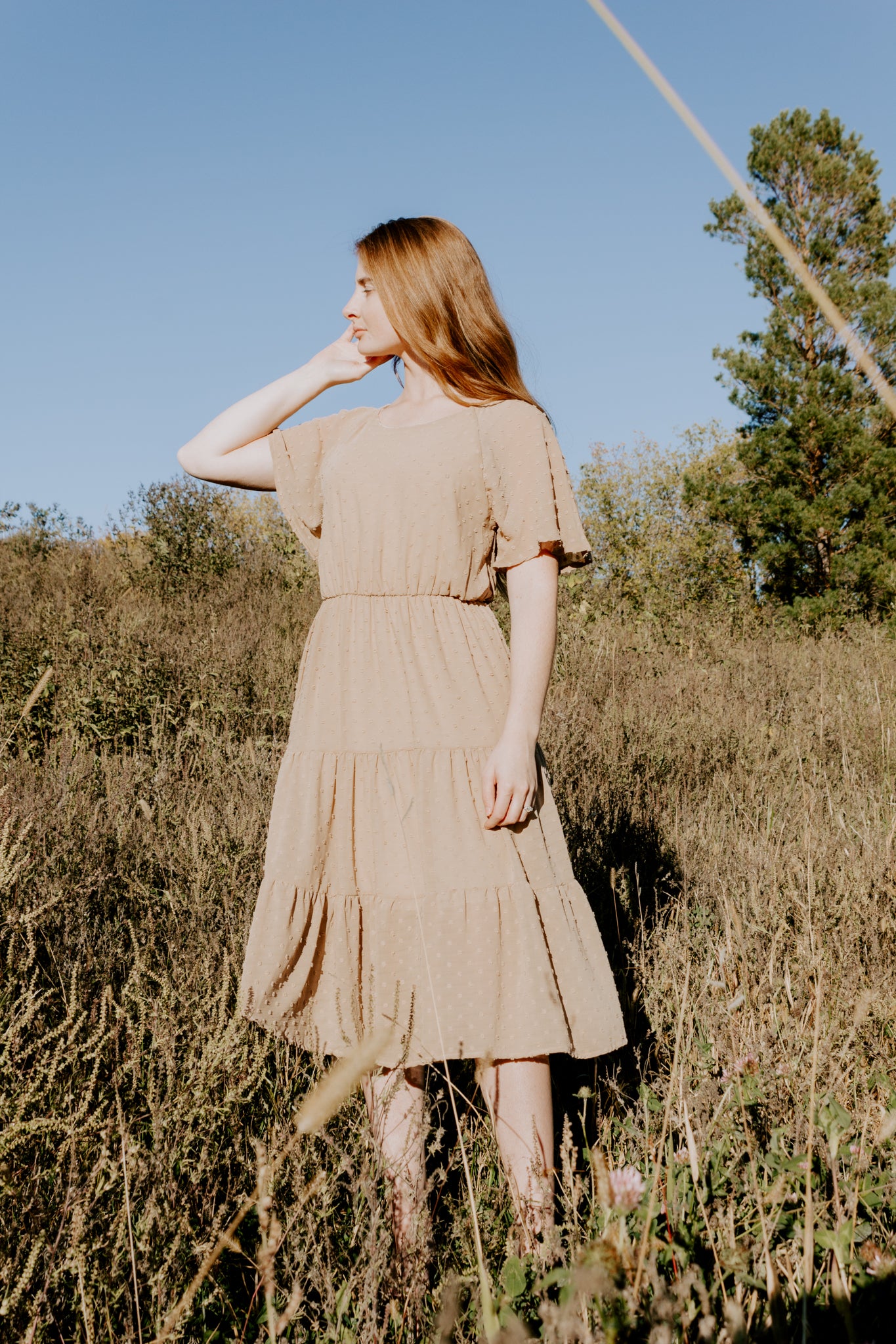 Beautiful midi swiss dot dress in vintage stone short sleeve with gold back closure button