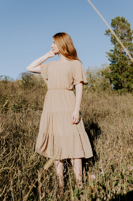Beautiful midi swiss dot dress in vintage stone short sleeve with gold back closure button